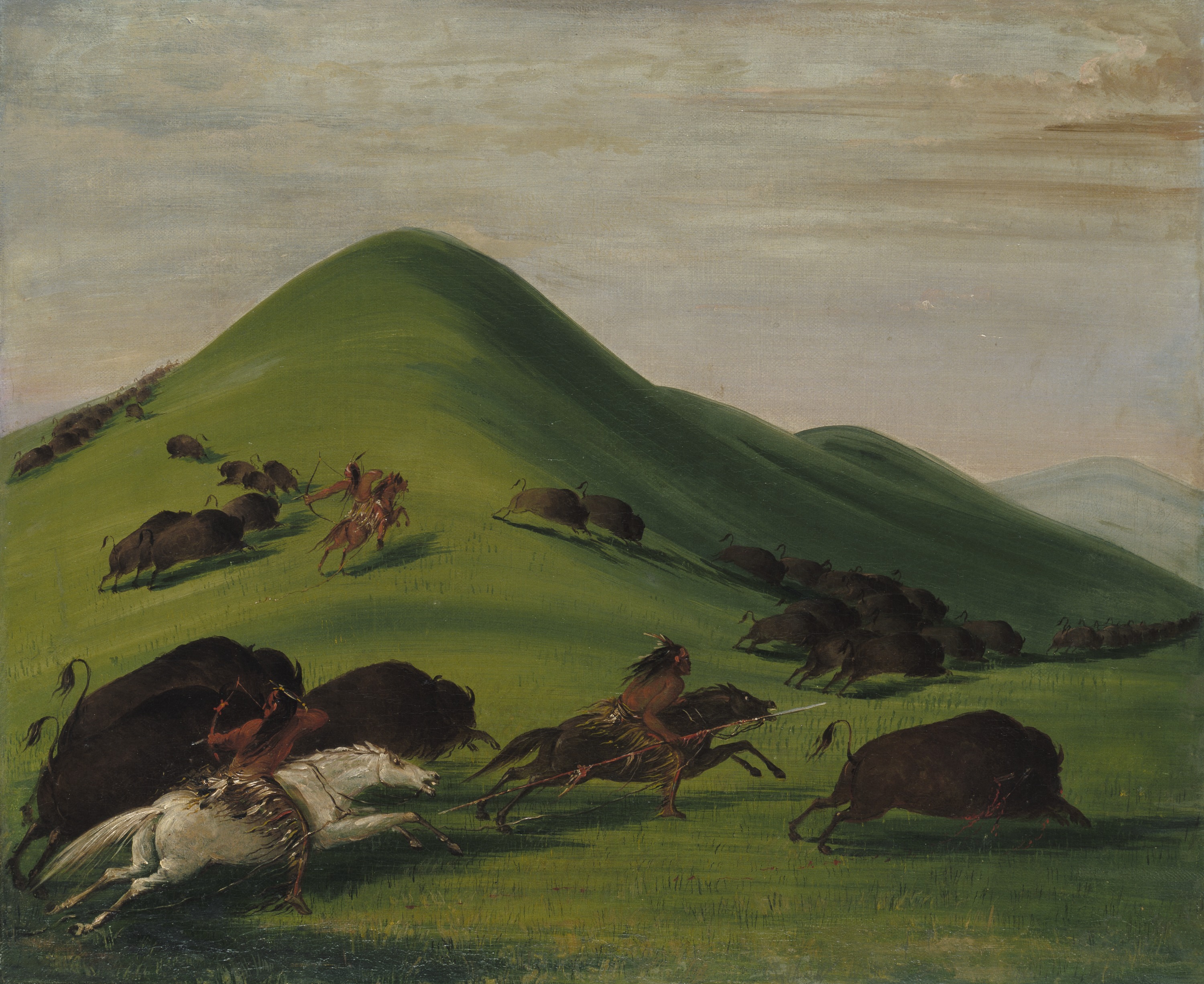 George Catlin, Buffalo Chase over Prairie Bluffs
