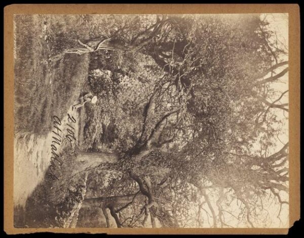 Francis Frith, At Matlock