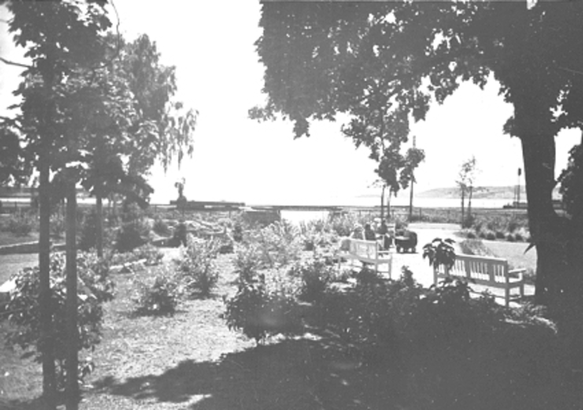 Anno Domkirkeodden, FRA STRANDGATEPARKEN MED BENKER, FOLK, TRÆR, PLANTER, JERNBANEUNDERGANG