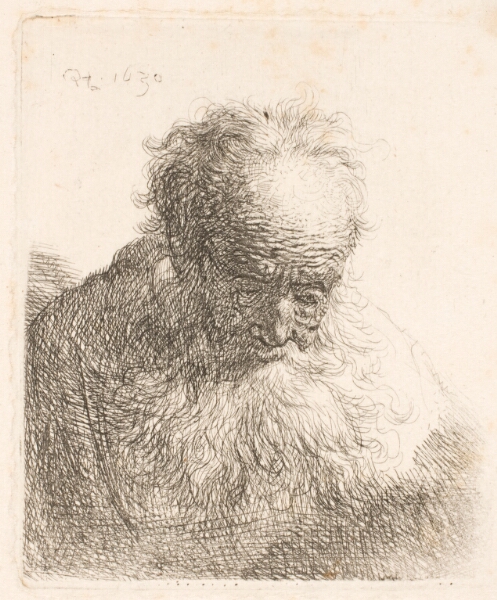 Rembrandt van Rijn, Foroverbøjet hoved af en gammel mand