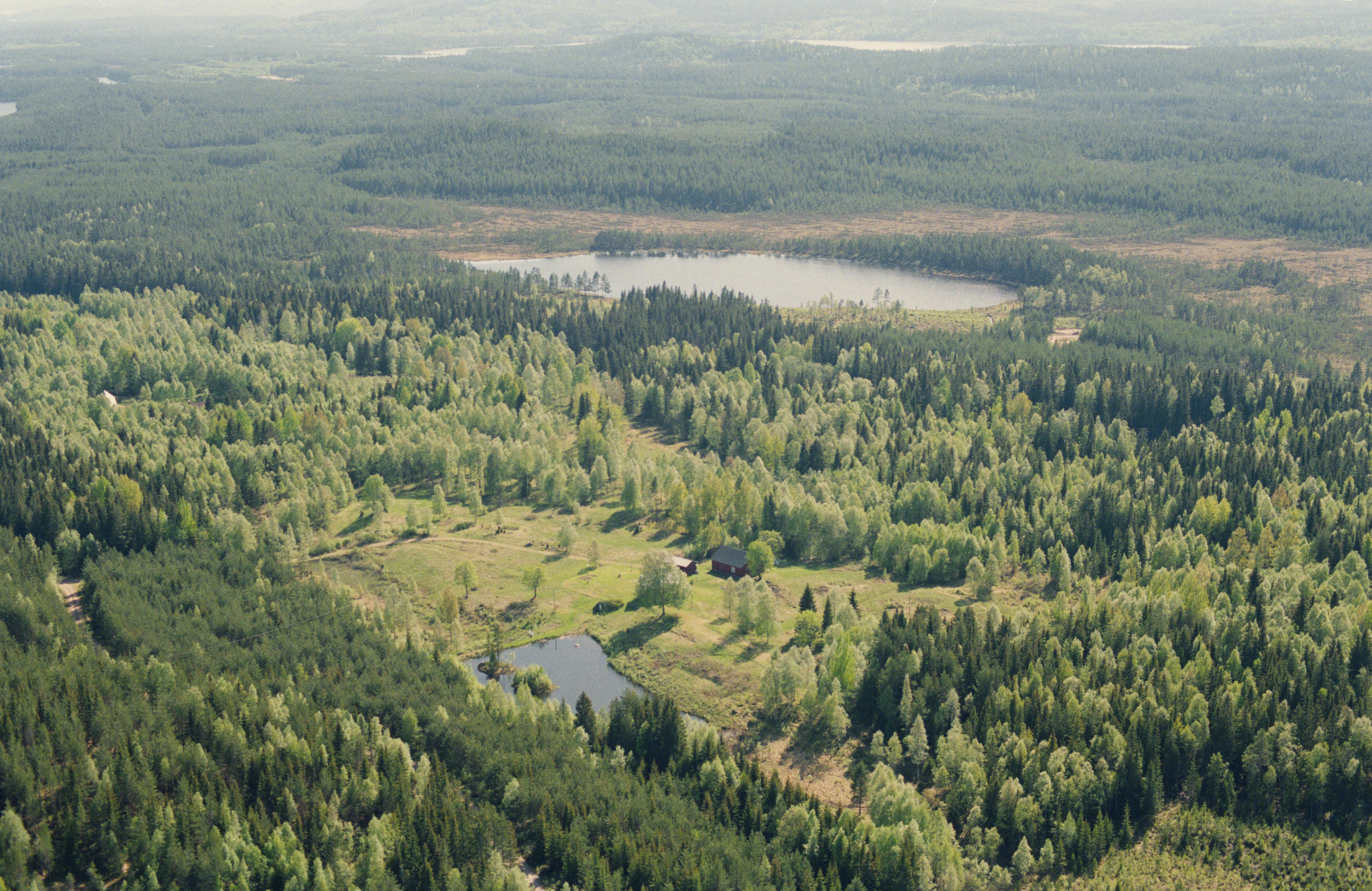 Jan Norrman, Hällefors 65:1