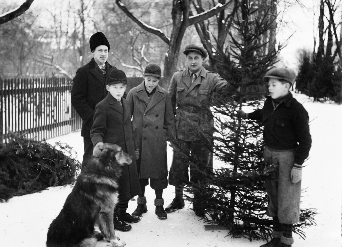 Paul Sandberg, Julgransförsäljning i Vasaparken, Uppsala 1934