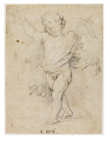 Unknown, Study of a Partly Draped Winged Boy