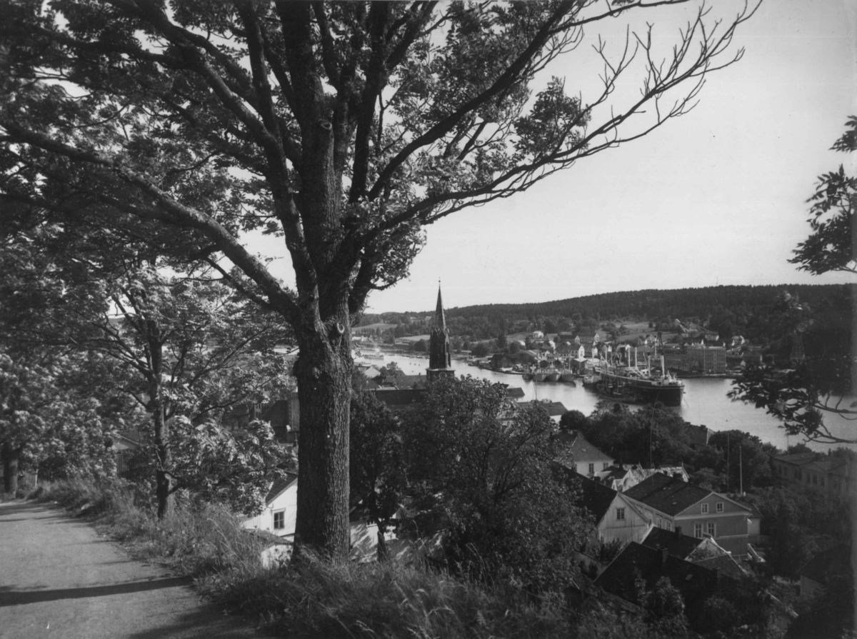 Anders Beer Wilse, Drakt, Mot Notteroy. Oversiktsbilde