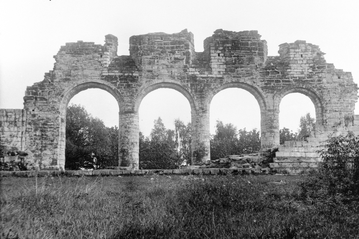 Anno Domkirkeodden, DOMKIRKERUINEN, SØYLEREKKE, HEDMARKSMUSEET OG DOMKIRKEODDEN