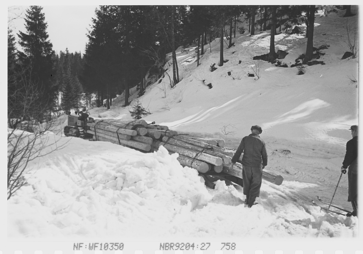 Anders Beer Wilse, Prot: Tömmertransport