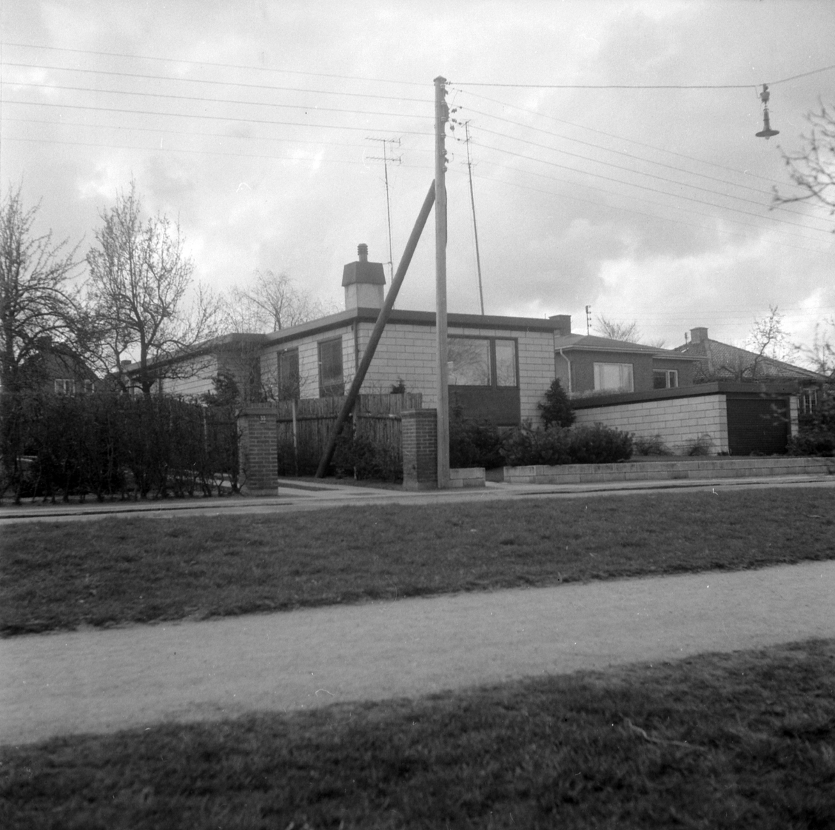 Adolf Skjegstad, ASK-04583