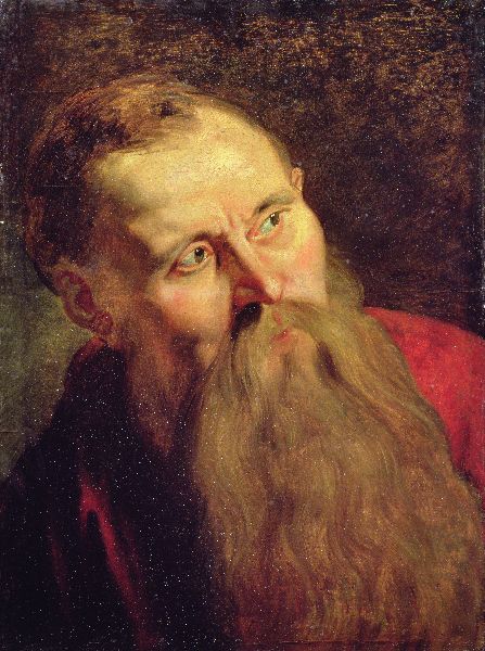 Peter Paul Rubens, Head Study of a Man