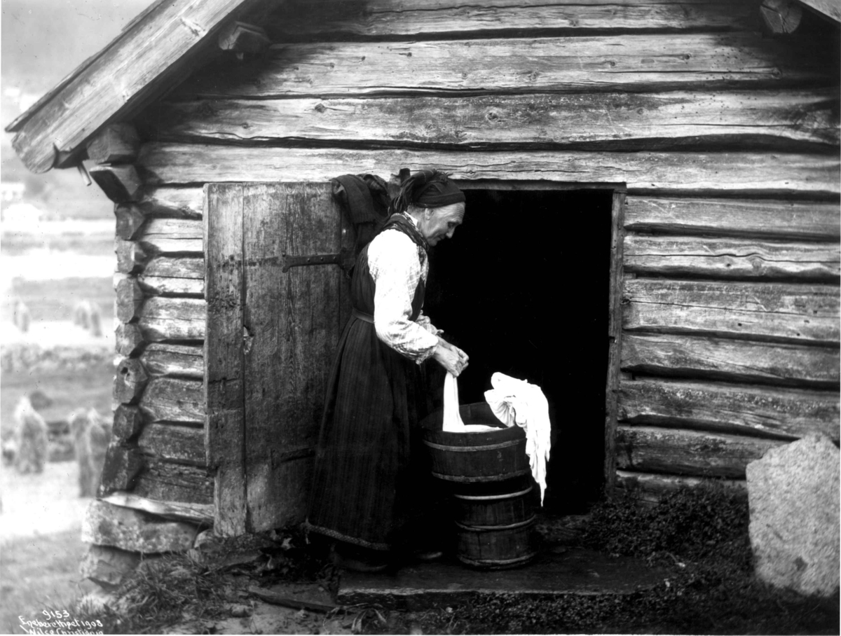 Anders Beer Wilse, Kvinnedrakt, Telemark