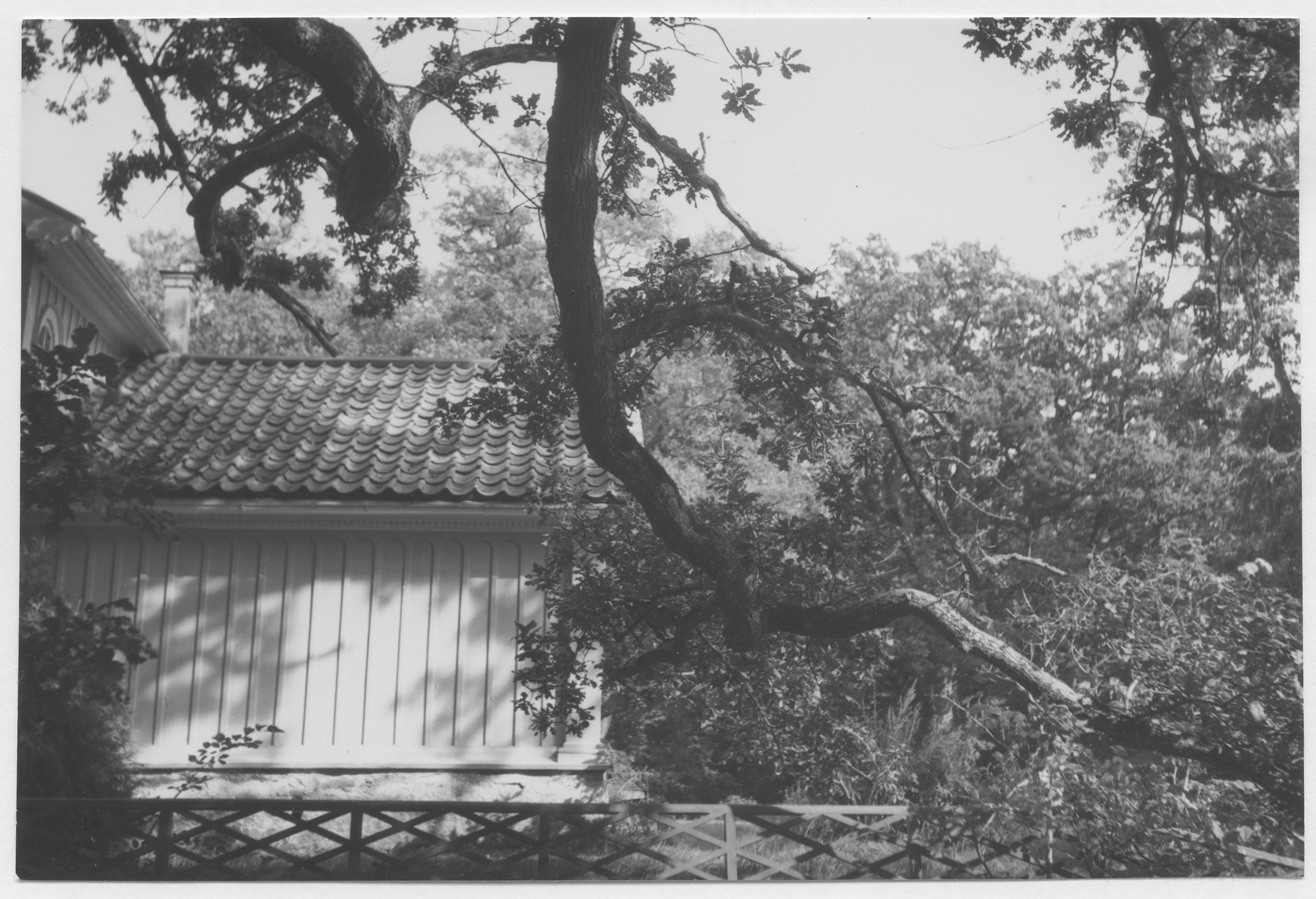 Mårten Sjöbeck, Skärva