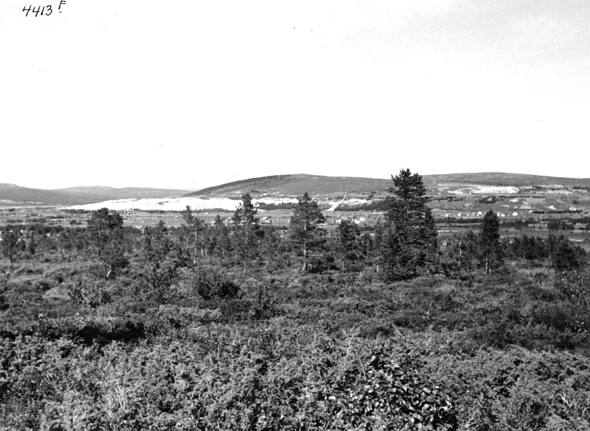 Anders Beer Wilse, Topografi