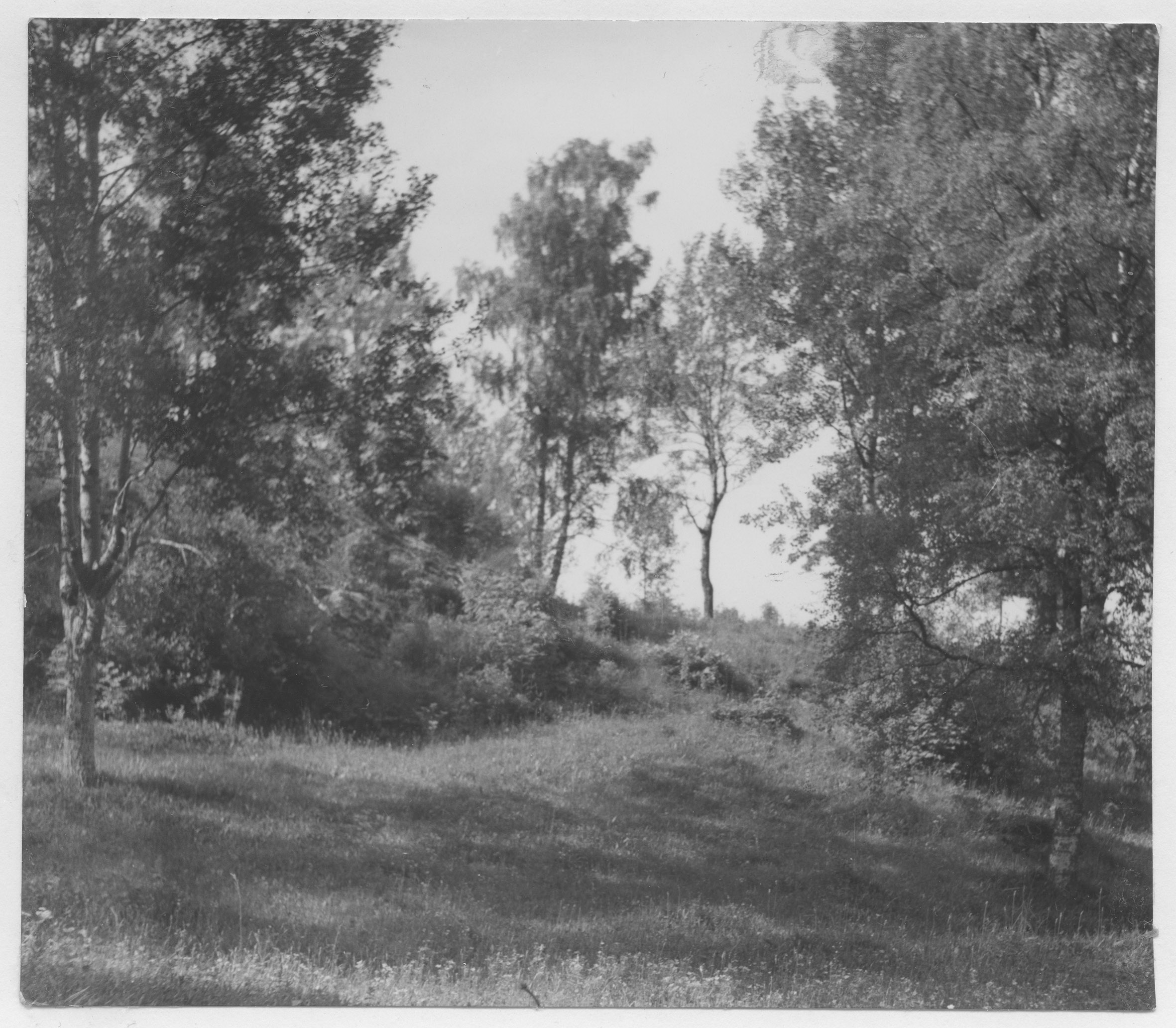 Mårten Sjöbeck, Ränsliden
