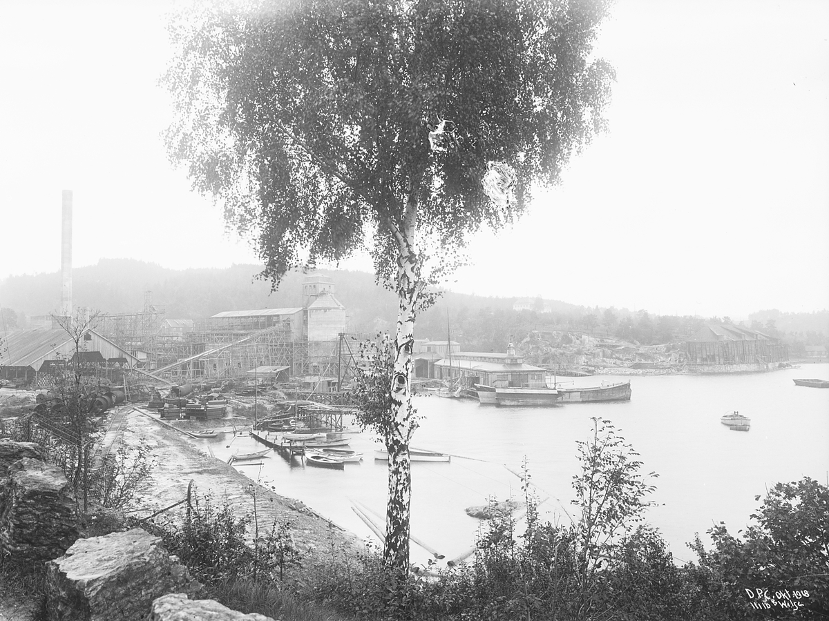 Anders Beer Wilse, Prot: Dalen Portland Cement, Brevik