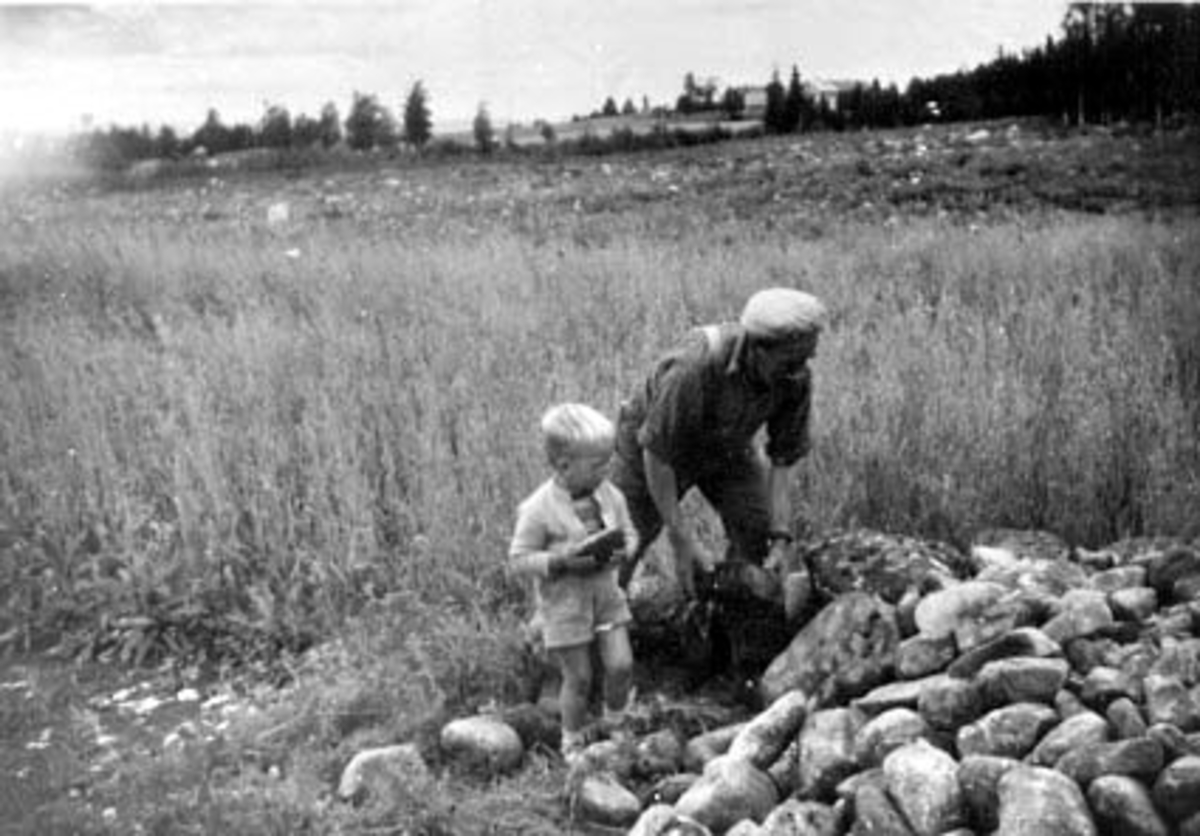 Anno Domkirkeodden, STEINRYDDING, EVEN TRYGVE HANSEN HJELPER HELMER KILDALEN, STEINRØYS, VOLUNGBAKKEN, VALLSET,