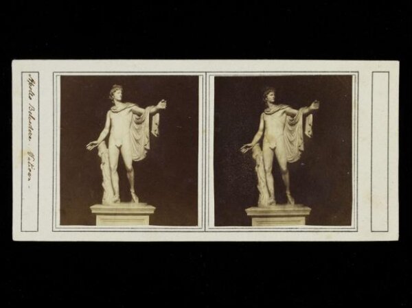 Unknown, Apollo Belvedere