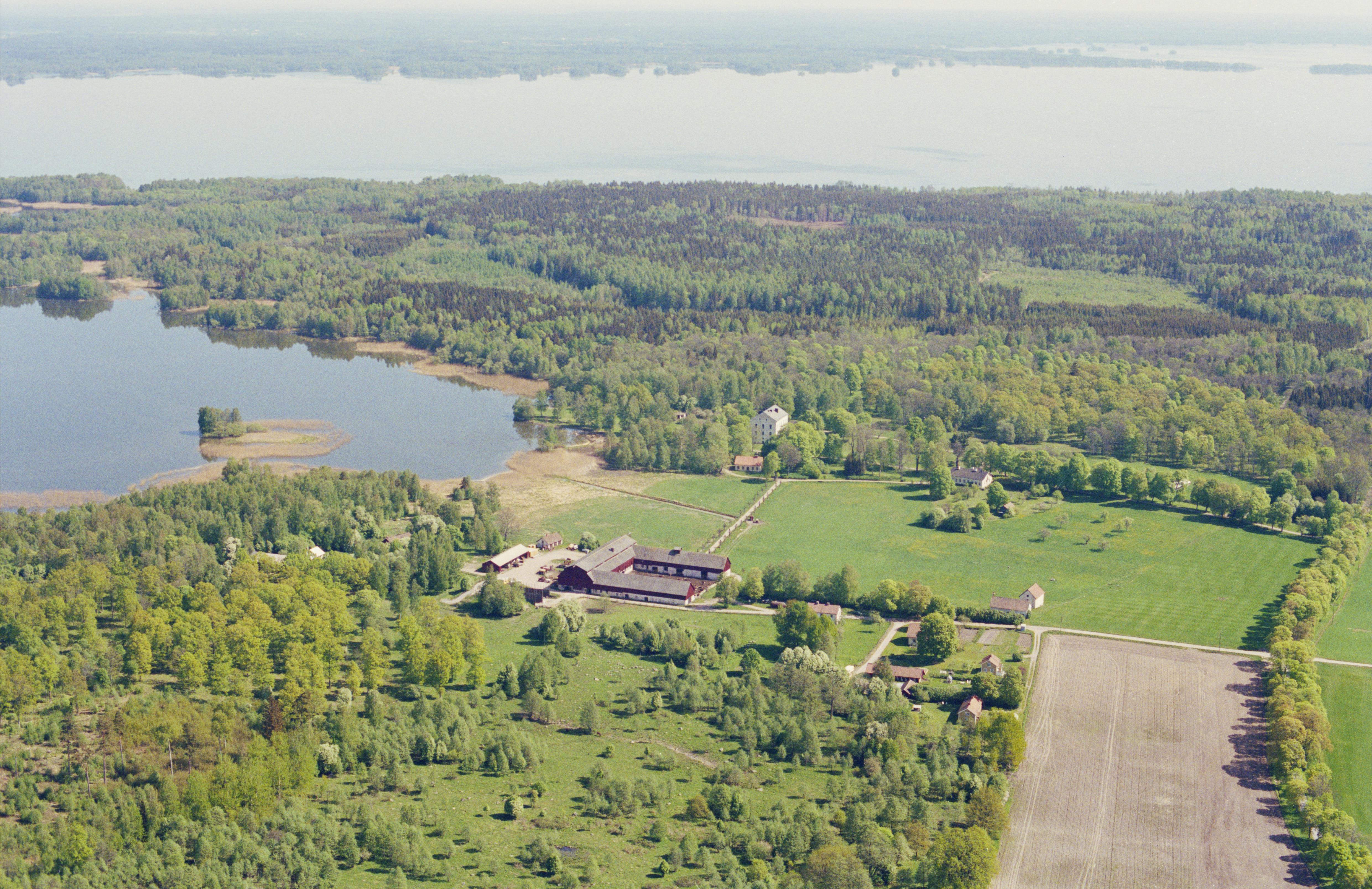 Jan Norrman, Stora Mellösa 64:1