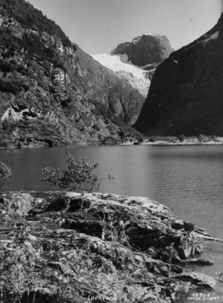 Anders Beer Wilse, -7114