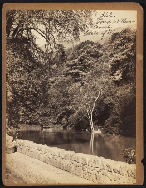 Francis Frith, Pond at Bonchurch.  Isle of Wight