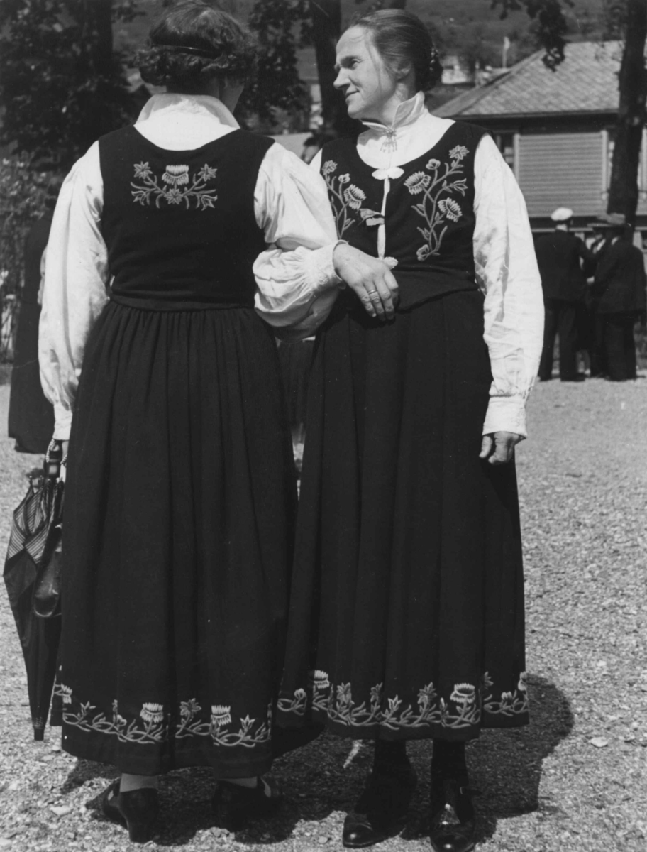 Anders Beer Wilse, Nordland