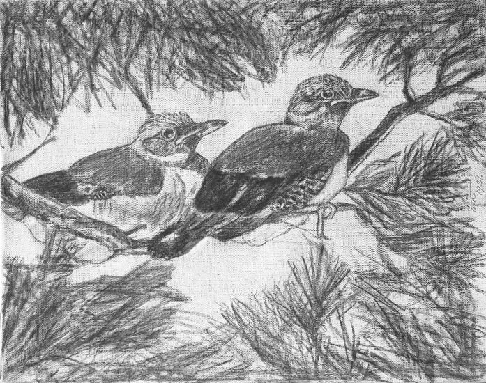 Thure Nihlén, According to earlier notes: “Drawing on a tapestry. Edgar Zachau 1921.”