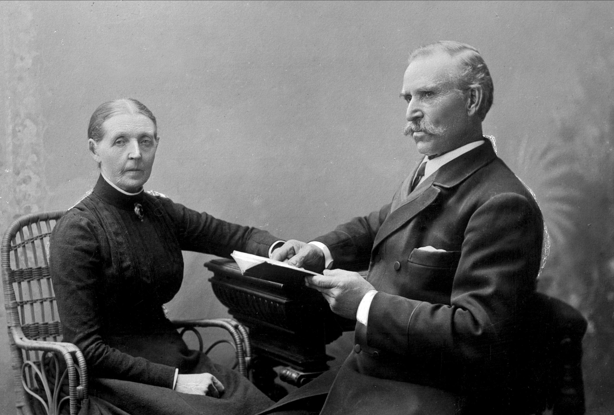 Gustav Borgen, Avfotografering.
