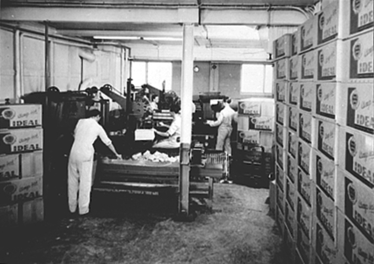 Anno Domkirkeodden, INTERIØR PAKKEMASKINAVDELINGA, 5 MENN I ARBEID, IDEAL FLATBRØDFABRIKK A/S