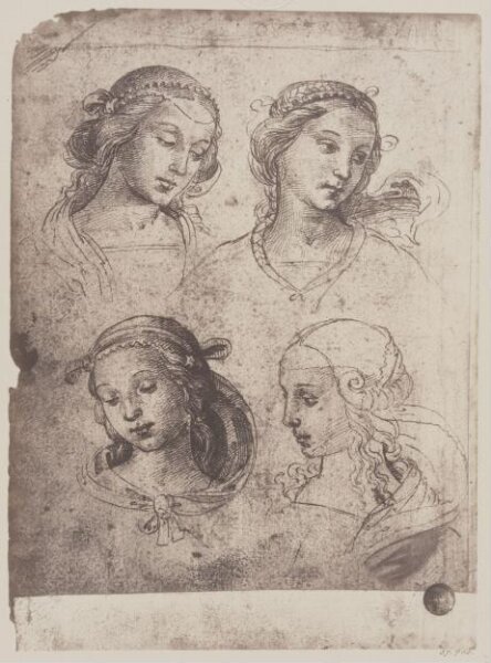 Fratelli Alinari, Studies of female heads