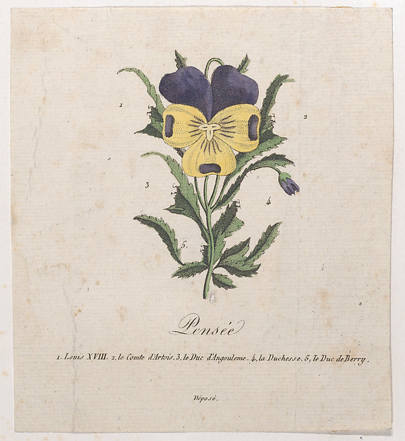 Anonymous, Pansy with hidden silhouettes