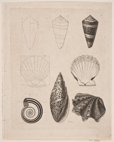 Gerhard Ludvig Lahde, Tavle med snegle