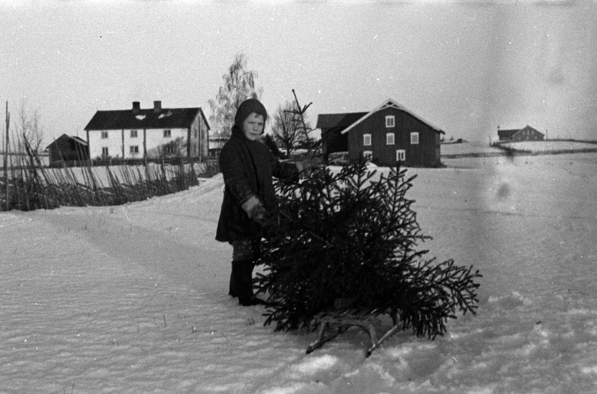 Adolf Skjegstad, BARN, JULETRE, KJELKE