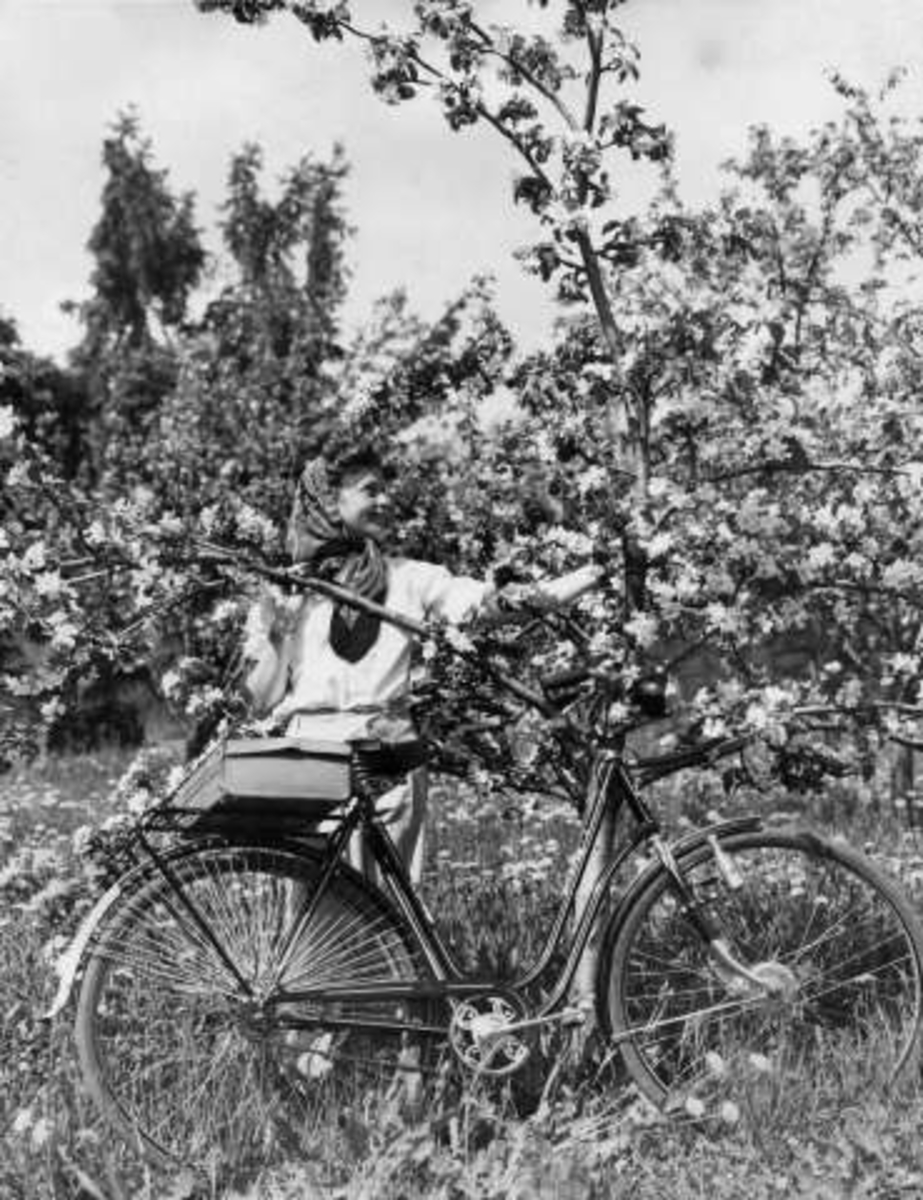 Anders Beer Wilse, -6257