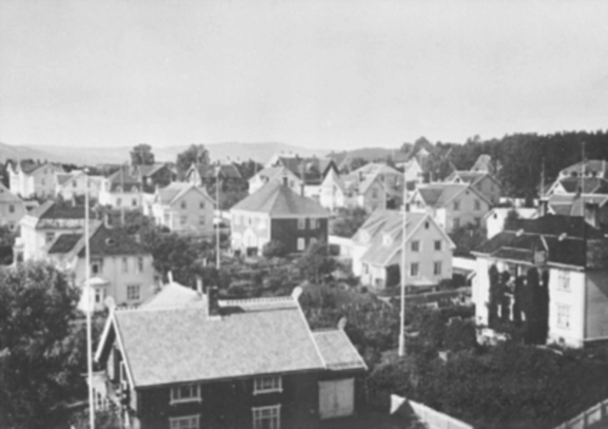 Anno Domkirkeodden, OVERSIKT VILLABEBYGGELSEN, SAGATUNJORDET, FRA KIRKETÅRNET.