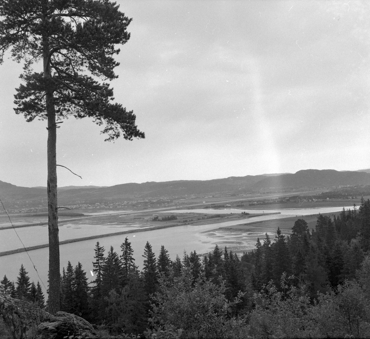 Adolf Skjegstad, ASK-04498
