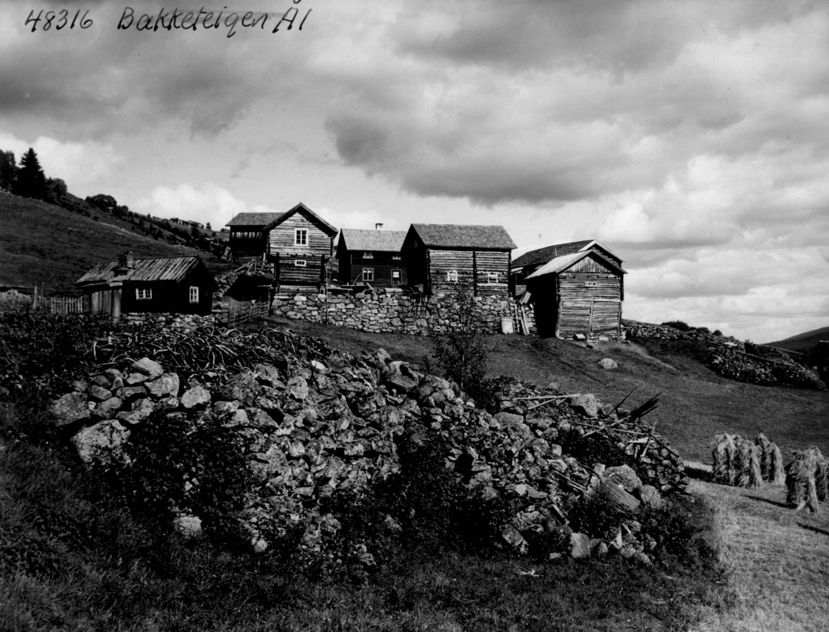 Anders Beer Wilse, Landbruk Bakketeigen gård.