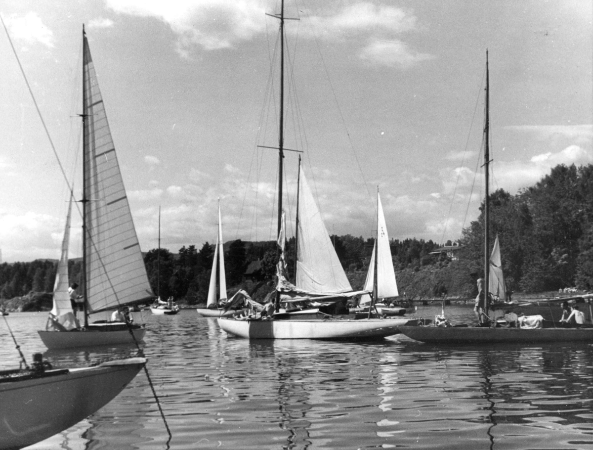 Anders Beer Wilse, Seilsport