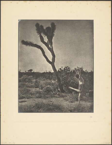 Louis Fleckenstein, [Dancer at Joshua Tree]