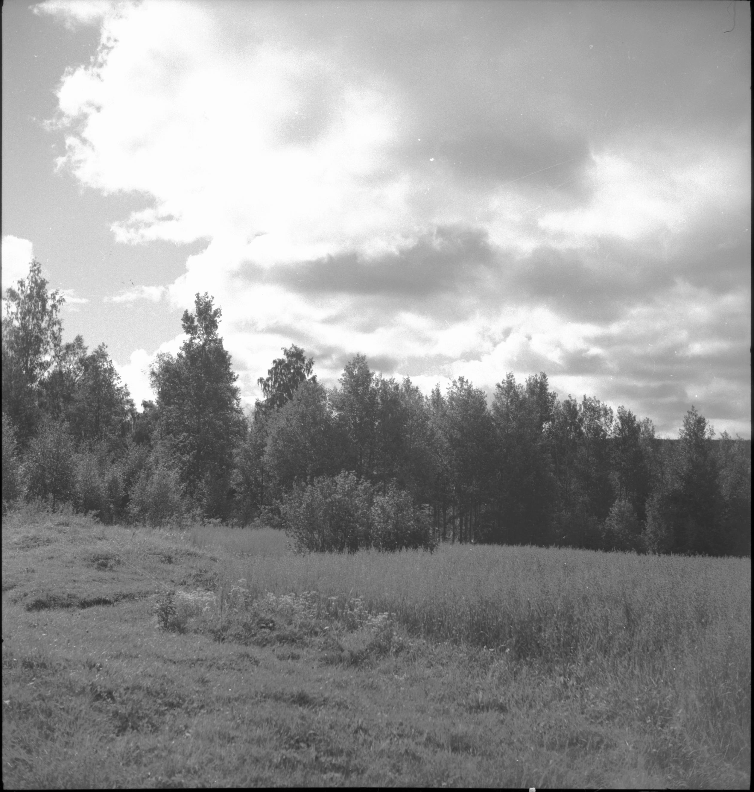 Iwar Anderson, Borgsjö kyrka