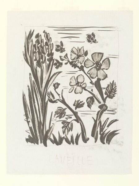 Pablo Picasso, Histoire Naturelle