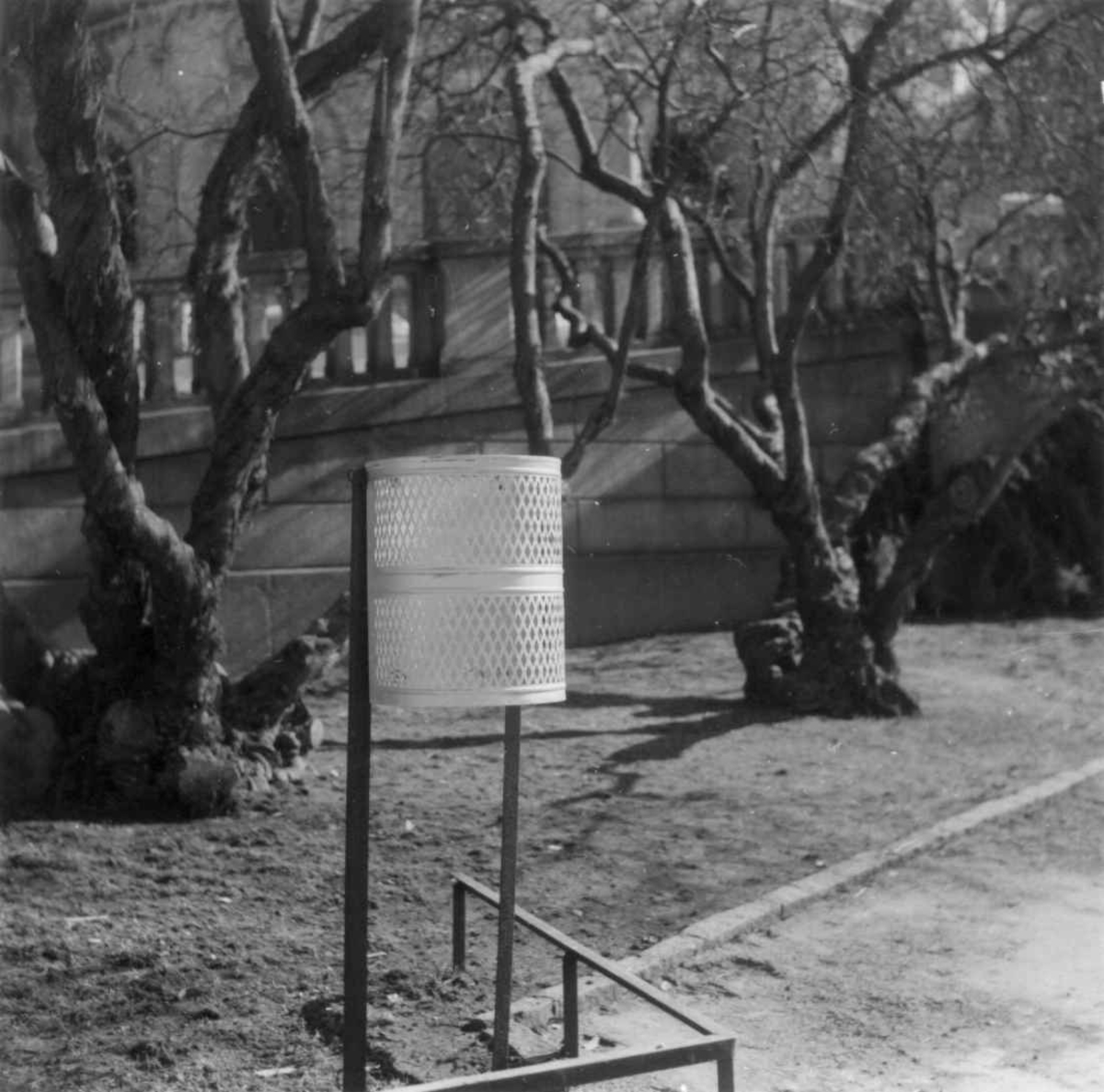 Virginia Raymond Davidson, Muligens utenfor Oakland Public Museum, samisk utstilling i California 1963.