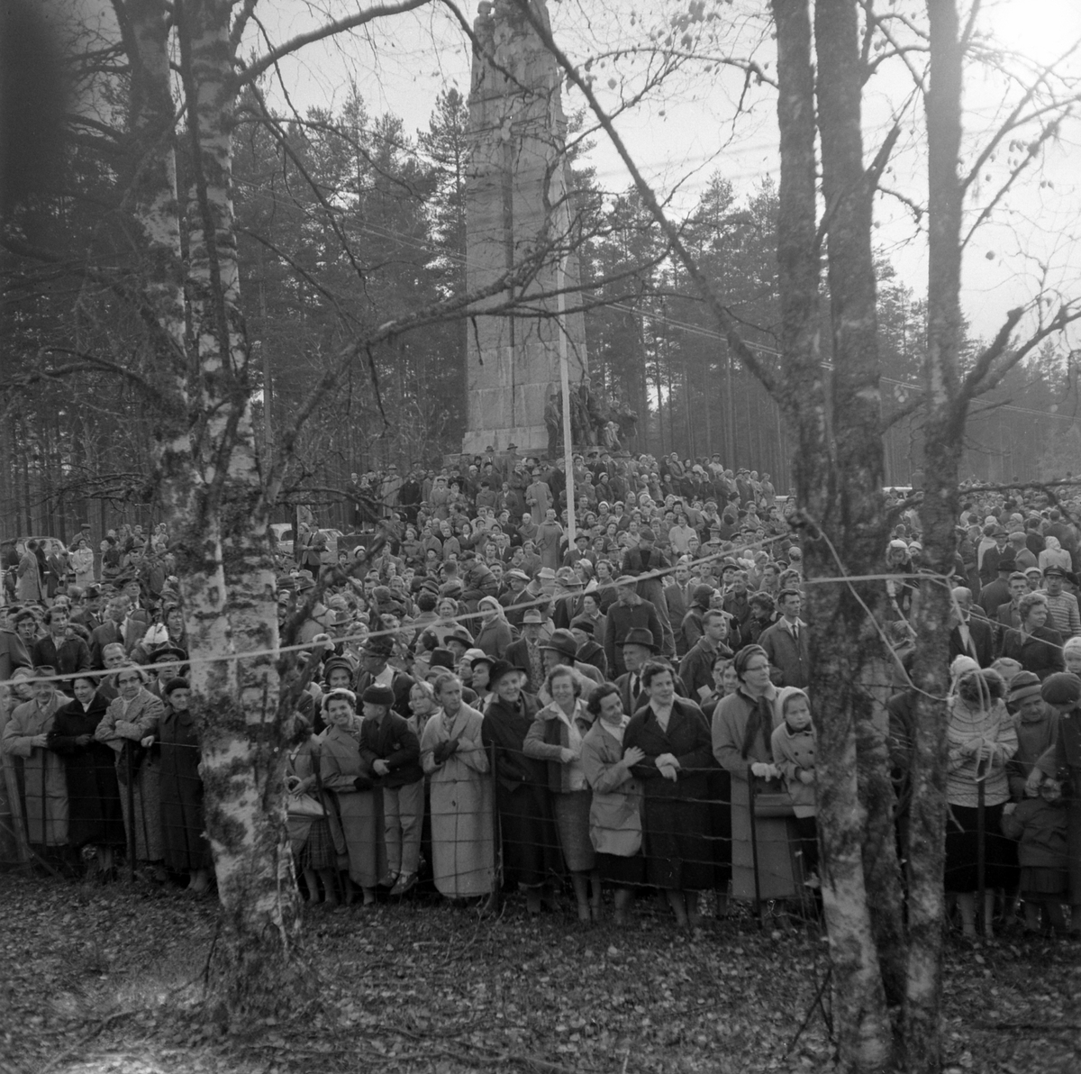 Adolf Skjegstad, ASK-04605