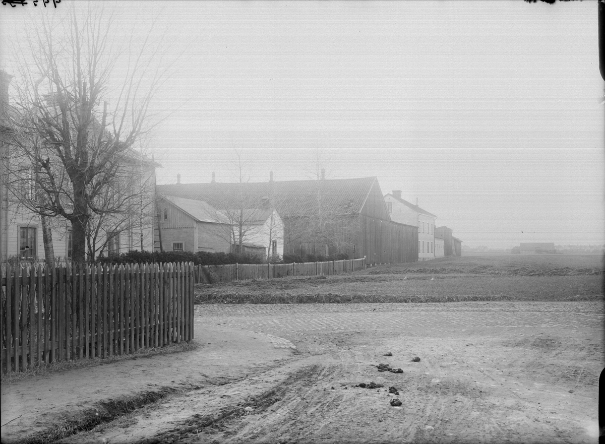 Alfred Dahlgren, Luthagsesplanaden - Börjegatan, Luthagen, Uppsala 1908