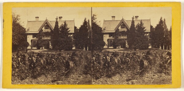 Edward and Henry T. Anthony & Co., Idelwild, Front View.
