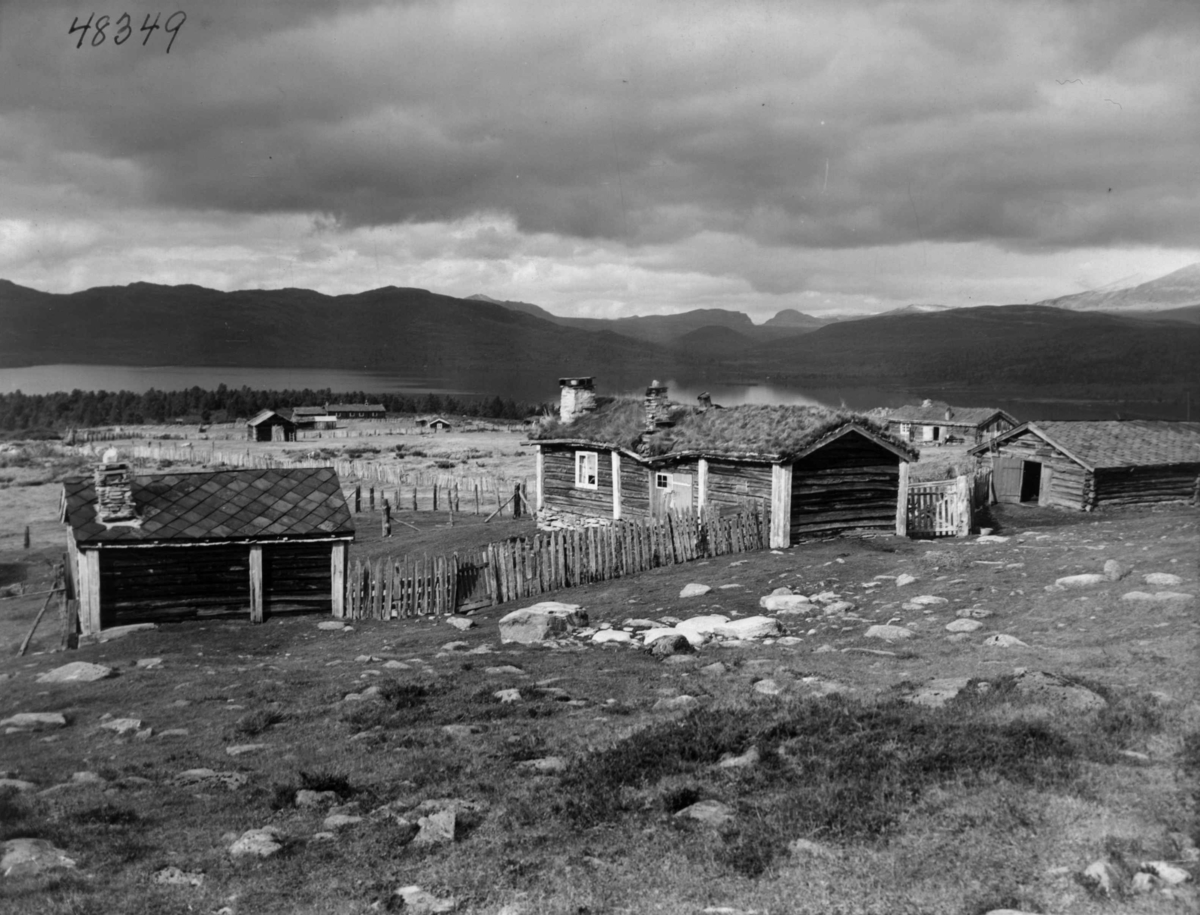 Anders Beer Wilse, Rondane, Klevstad Seter, Bebyggelse, Landbruk, Seterdrift, Furusjoen, Landskap