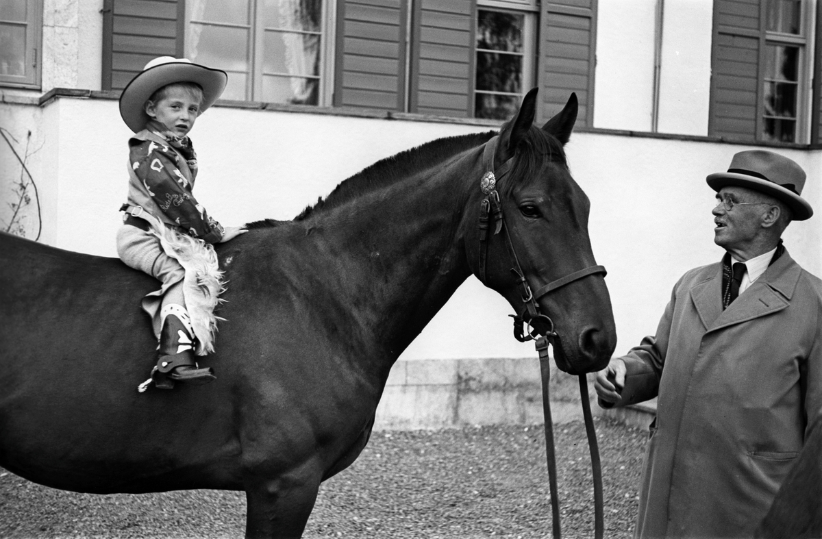 Anders Beer Wilse, Prot: Harald paa hesteryg