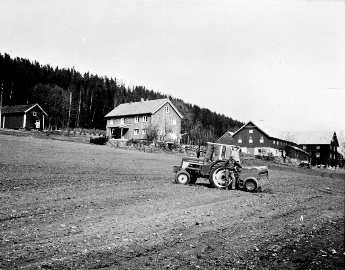 Anno Domkirkeodden, Våronn på Røste, Helgøya. Olav Røste f.1939 med traktor og såmaskin.