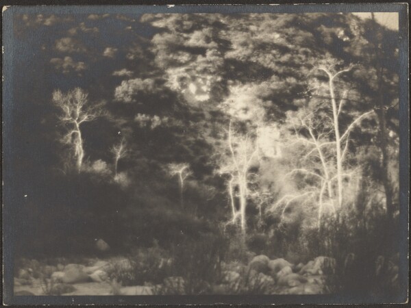 Louis Fleckenstein, [Landscape]