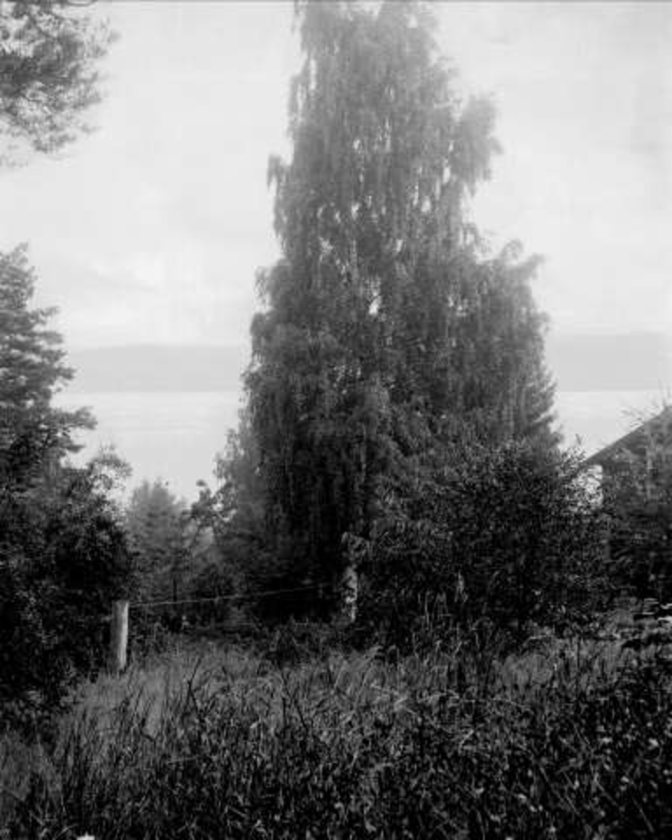 Gustav Borgen, NFB.00065