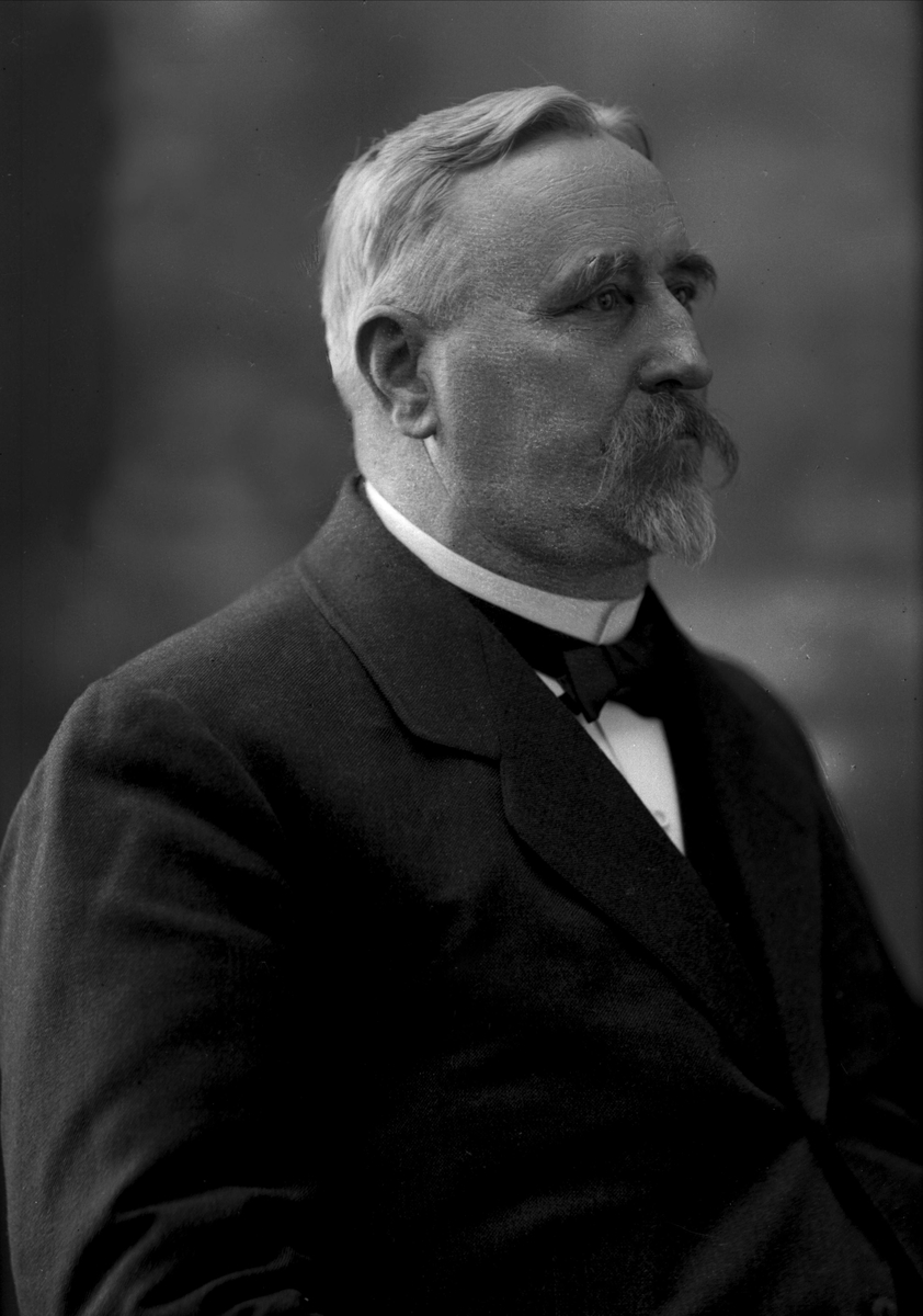 Gustav Borgen, NFB.13497
