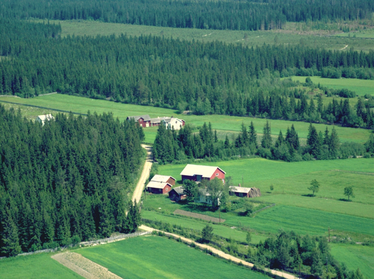Widerøes Flyveselskap A/S, FLYFOTO LØVLIEN VESTRE.