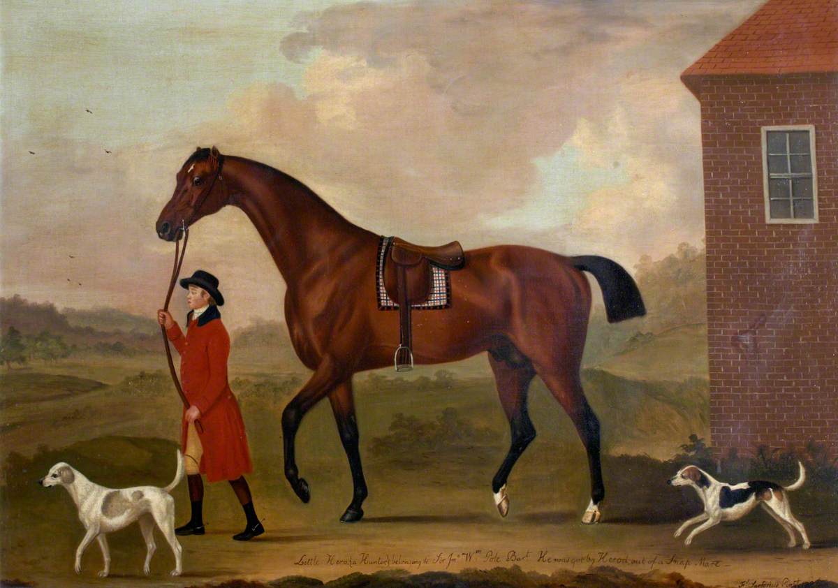 Francis Sartorius, 'Little Hero', a Hunter